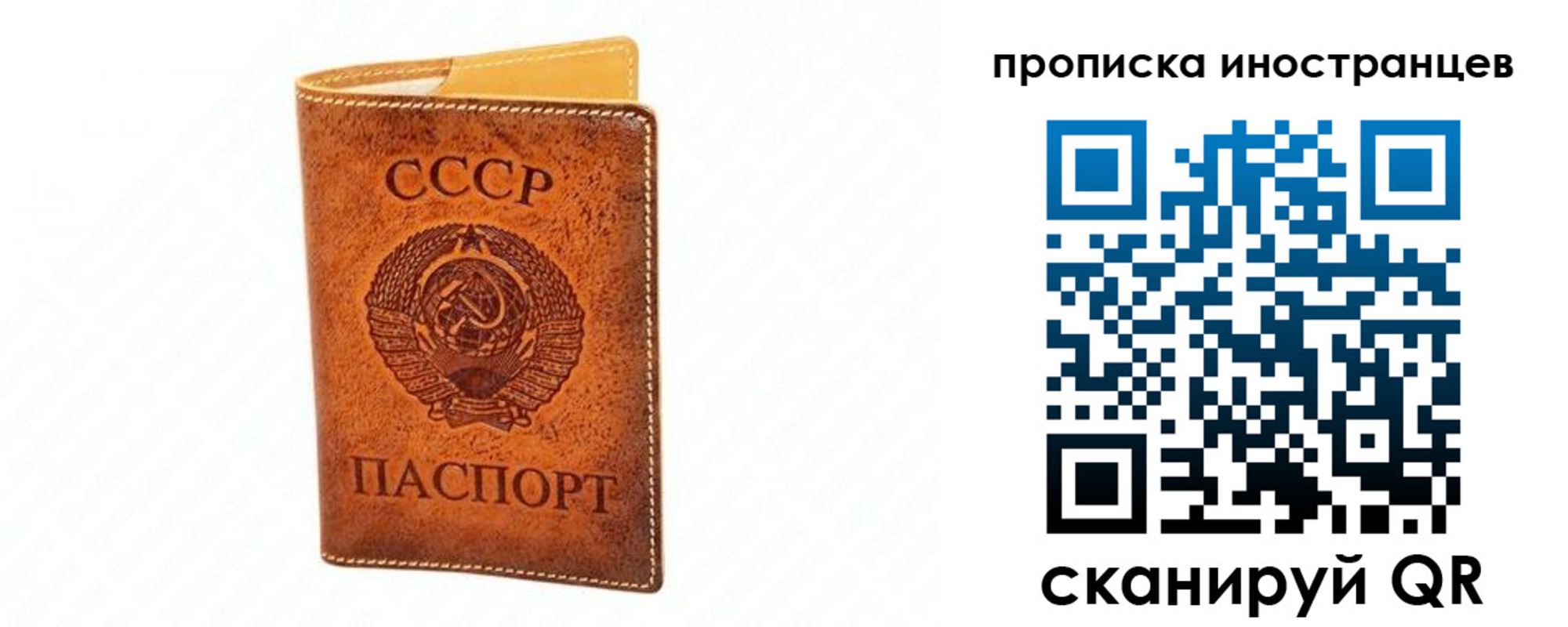 прописка для школы в Свободном
